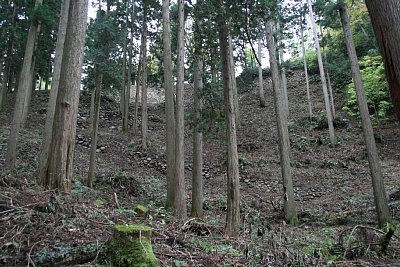 桜馬場西側の石垣は何段にも築かれています