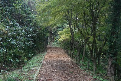 調度丸への通路