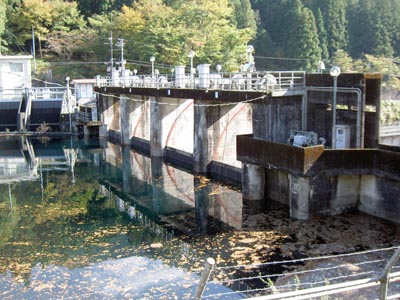 右岸上流から堤体を見る