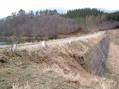 右岸から堤体下流側を見る