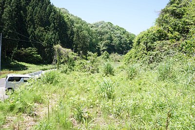 当時は線路はここにあったのですが