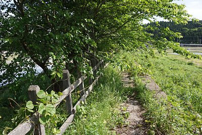 路盤は畑になっています