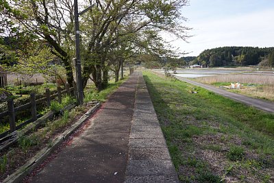 ホームはかなりの長さがあります