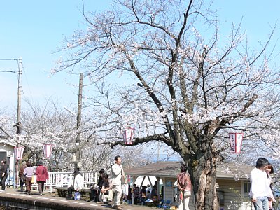 カラオケ大会も開催していました