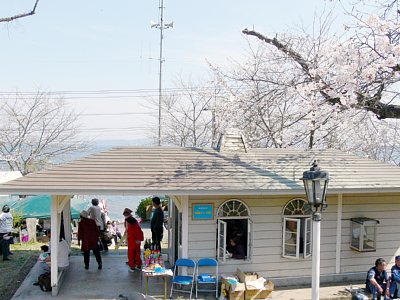 駅舎のまわりも桜が満開です