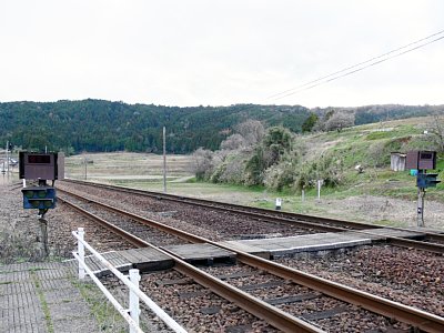 踏み切りもない線路上を渡るのは・・・