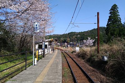 ホームが少しカーブになっている
