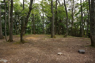 本丸には2層の天守があったと推定されています