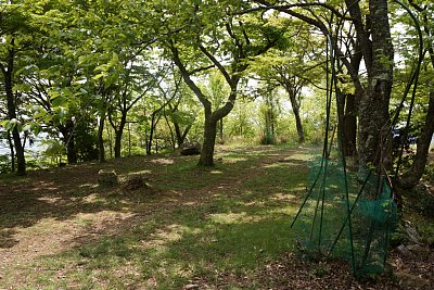 桜馬場跡もかなりの広さです