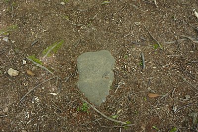 桜馬場には礎石が多数ありました