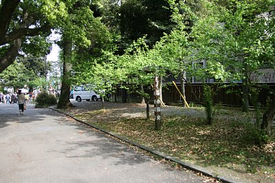 小田原城南曲輪跡