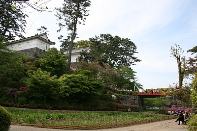 二の丸と本丸の間にある東堀花菖蒲園