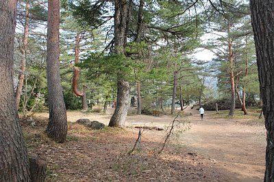 大手口側から見た本丸