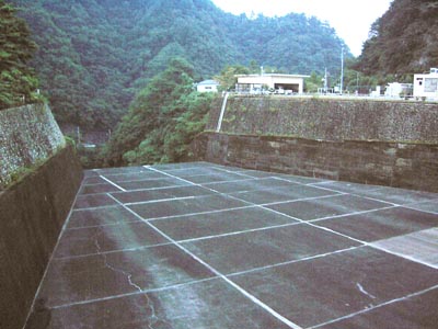 導流部
