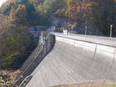 堤体を左岸下流側から見る