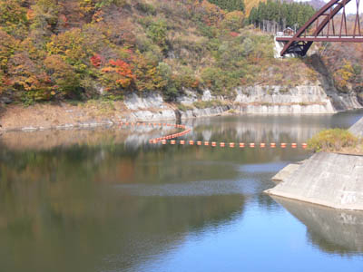 ダム湖は、細長い形をしています