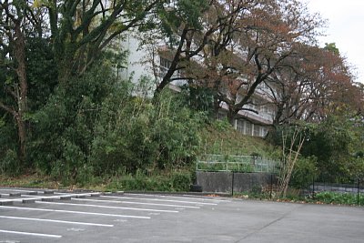 大峪城東側の土塁