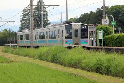 普通列車が停車しています
