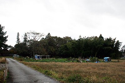 浮田家住宅遠景