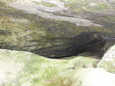 洞窟の奥