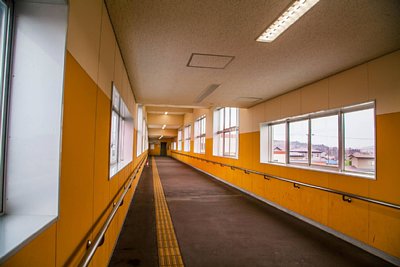 自由通路