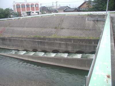 魚道は、階段状になっています