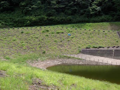 天端から右岸を見る