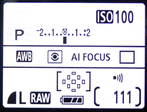 RAW+JPEGに設定されています