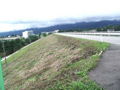 堤体下流側