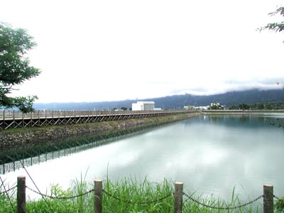 桜ヶ池