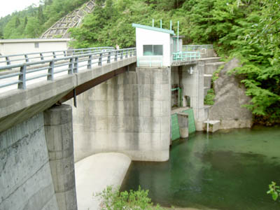 左岸から堤体を見る