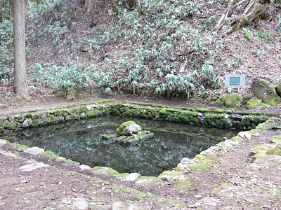 イワシガ池