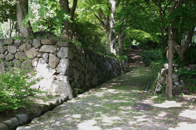 仏蔵坊跡と大宮坊の間にある石垣