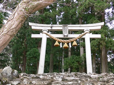伊須流岐比古神社の鳥居