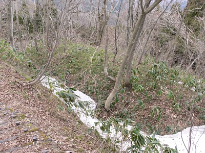 石動山城空堀に残雪