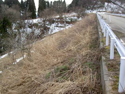 千石池堤体