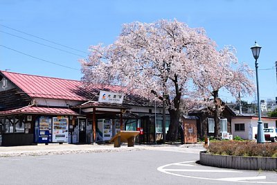 桜の大屋駅