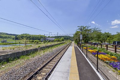 島式ホームと線路跡がわかります