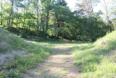 この大手門は実際には完成していなかったようです