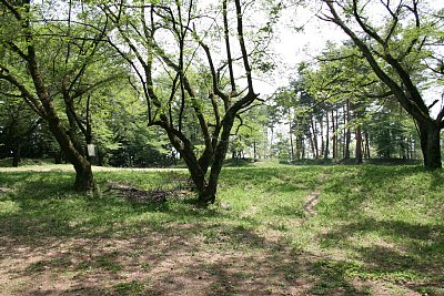 新府城本丸跡