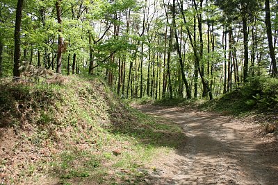 この道路は後年に造られたものです