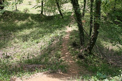 植込を仕切る土塁