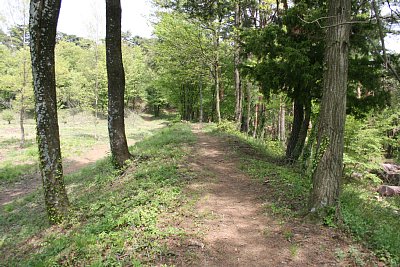 二の丸南側の馬出との仕切りの土塁