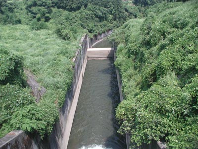 導流部