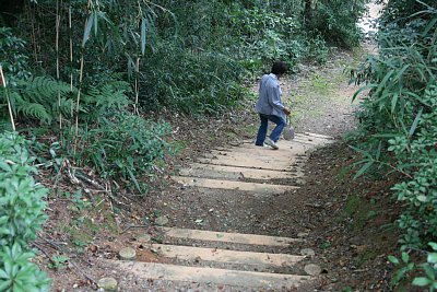 本丸下郭跡から北二の丸跡への階段