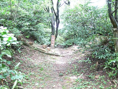 空濠跡と土橋