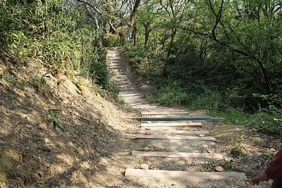 堀切が通路を遮っています