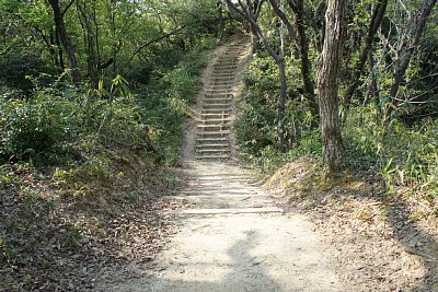 西出丸跡から西二の丸跡の途中には堀切が