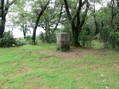 本丸跡の高地