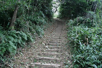 本丸跡への上り道